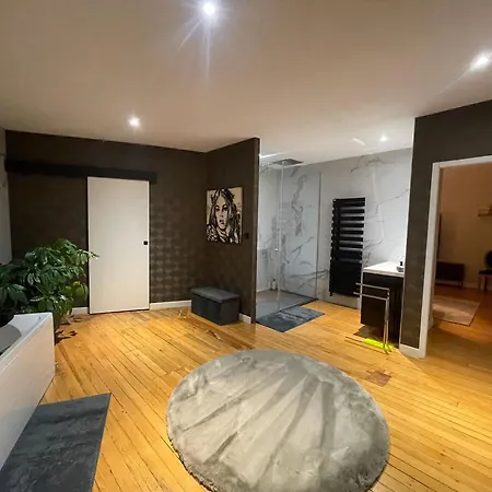 Appartamento Spacieux Et Moderne Au Centre D'epinal Avec Ascenseur - Fr-1-589-595 *
